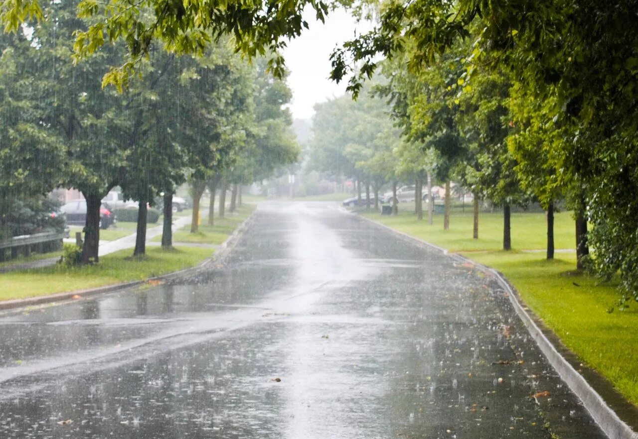 Погодная картинка. Летний дождь. Улицы после дождя. Летний дождь в городе. Летний дождь в парке.