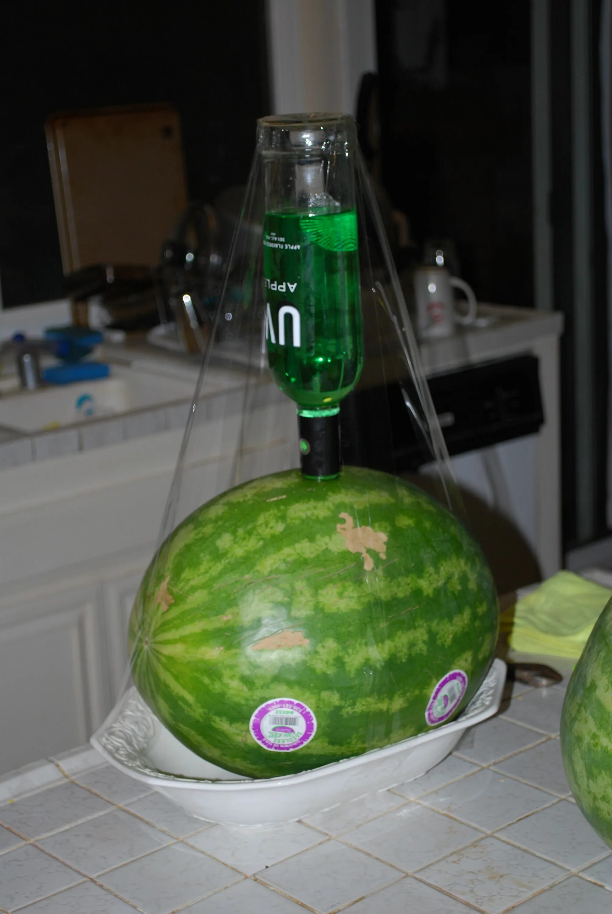 Арбуз порезанный. Арбуз закипел. Торт «арбуз». Арбузный охладитель. Портативный охладитель арбуза.