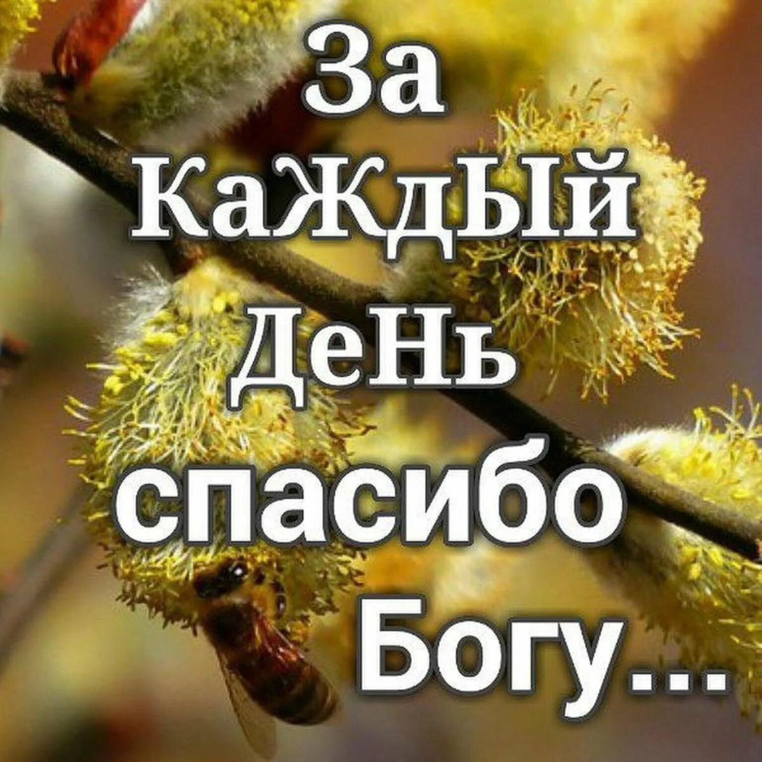 Благодарность Богу. Благодарю Бога за все. Спасибо Господи за новый день. Слава Богу за все!.