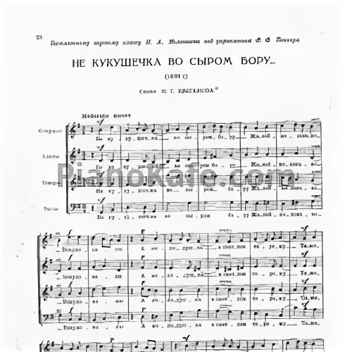 Песня во сыром бору злой. Не кукушечка во сыром бору. в сыром бору тропина ноты. кукушечка ноты. в сыром бору тропина.