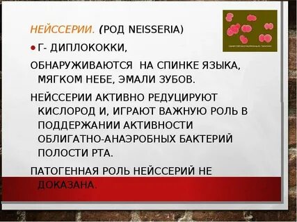 Какой язык мягче