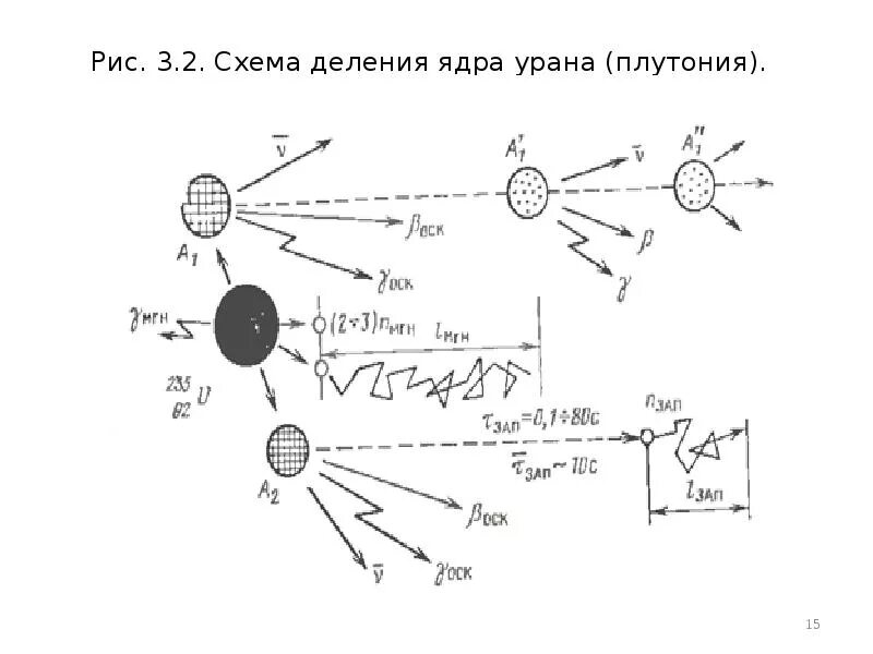 Сколько нейтронов в ядре урана. Схема деления плутония. Схема деления урана. Схема деления ядер урана. Распад плутония 239 схема.