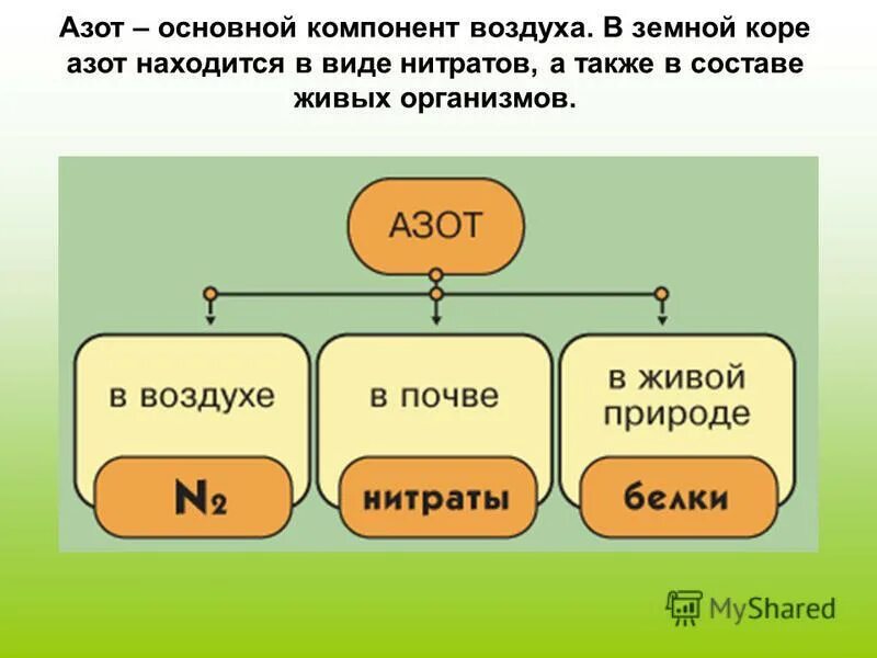 Азот в составе живых организмов. Азот основной компонент. Главный компонент воздуха. Азот - компонент воздуха. Роль азота в воздухе.