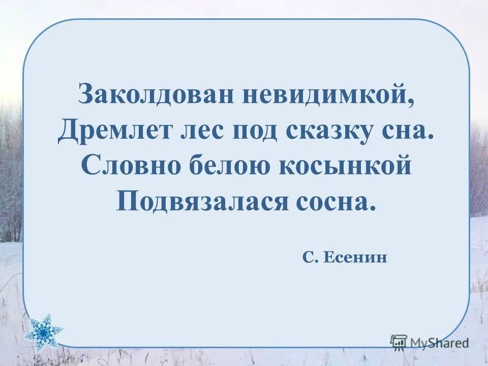 стих заколдован невидимкой дремлет лес под сказку сна. дремлет лес под сказку сна. заколдован невидимкой дремлет лес под сказку. заколдован невидимкой дремлет. пороша есенин.