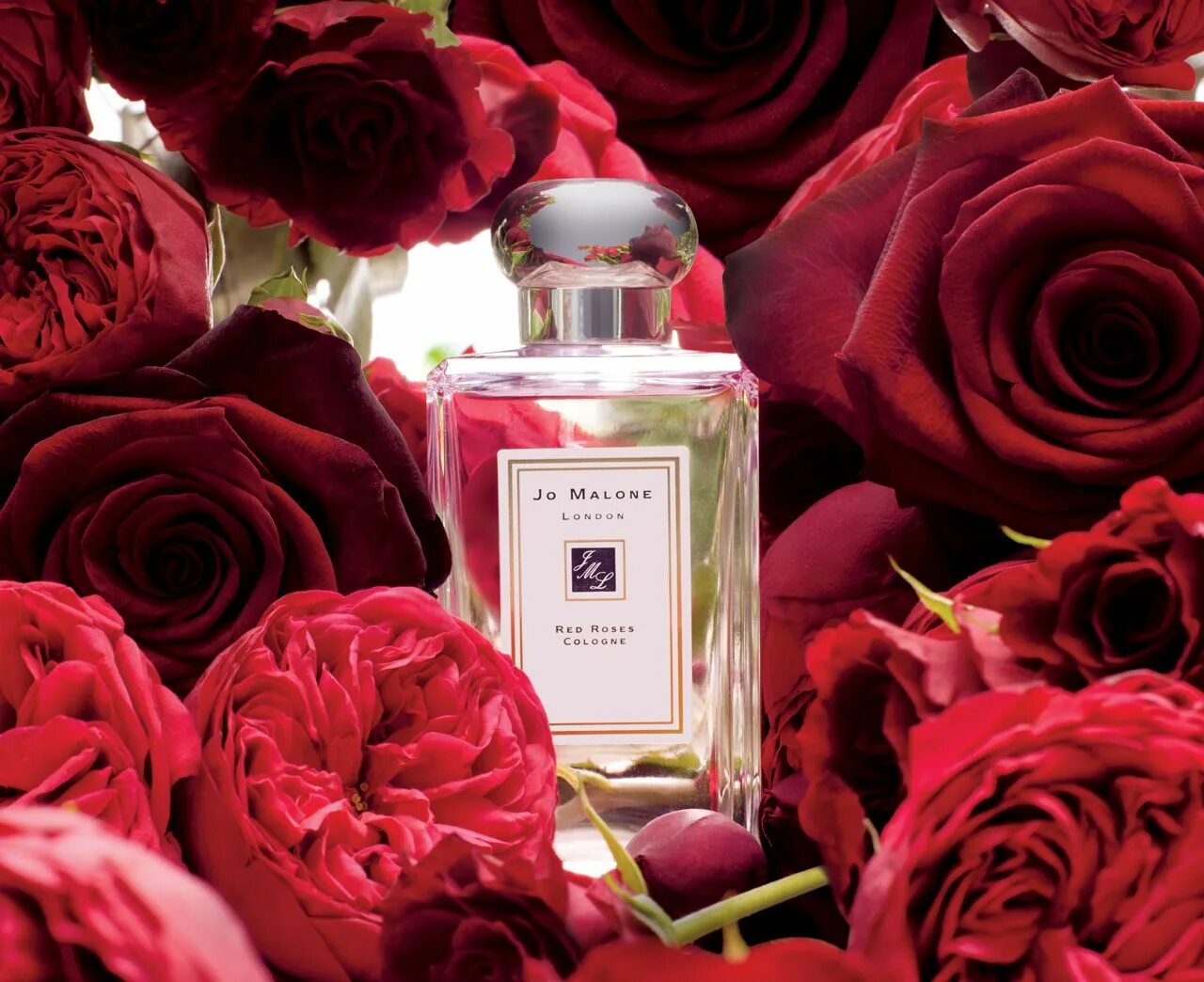 Нежным ароматом роз. Джо малоне розовые. Jo Malone Red Roses Cologne. Jo Malone s Parfum.