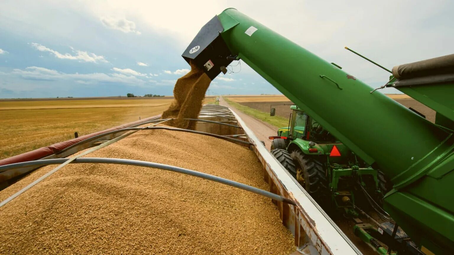 Экспорт зерна. Погрузка зерна. Экспорт пшеницы. Погрузка зерна в поле.
