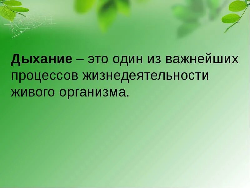 Жизнедеятельность организмов свойства живых организмов. Жизнедеятельность живых организмов. процессы жизнедеятельности живых организмов. презентация творческого продукта. животные процессы жизнедеятельности.