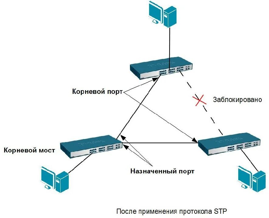 Span сети