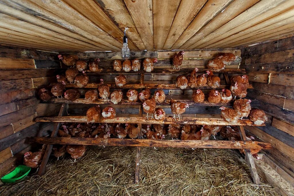 Украшение дачного участка. Дачные поделки своими руками. Что можно сделать в деревне. Украшение палисадника. Декор садового участка.