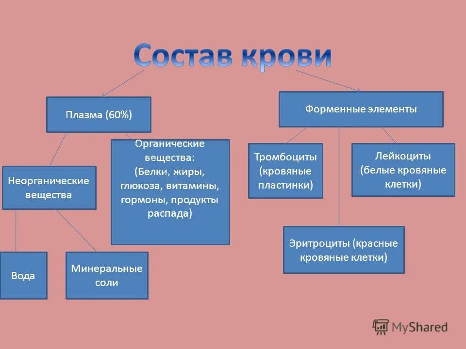 Состав тканевой жидкости. Состав крови тканевая жидкость лимфа кровь. Таблица внутренняя среда кровь лимфа тканевая жидкость. Тканевая жидкость форменные элементы. Внутренняя среда кровь лимфа тканевая жидкость форменные элементы.