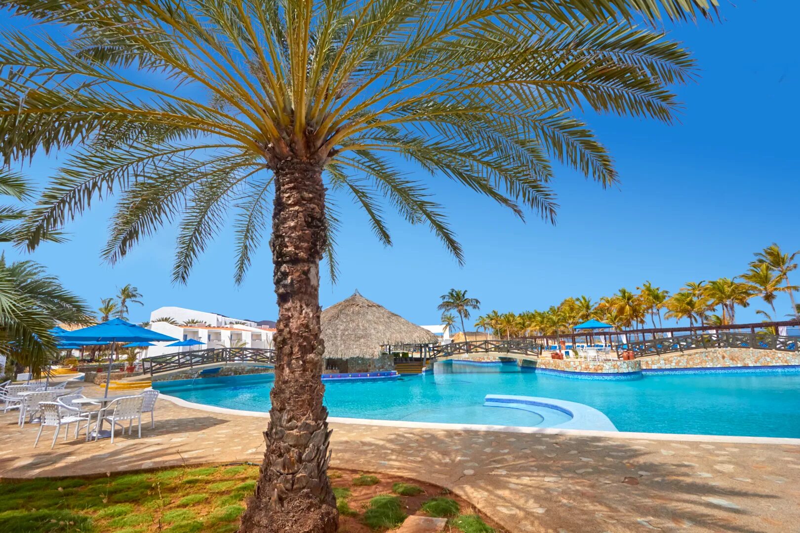 Costa Caribe Beach Hotel Resort 3 Венесуэла. Costa Caribe Beach Hotel & Resort 4*. Costa Caribe Beach Hotel Resort 4 Венесуэла. Costa caribe beach hotel resort венесуэла