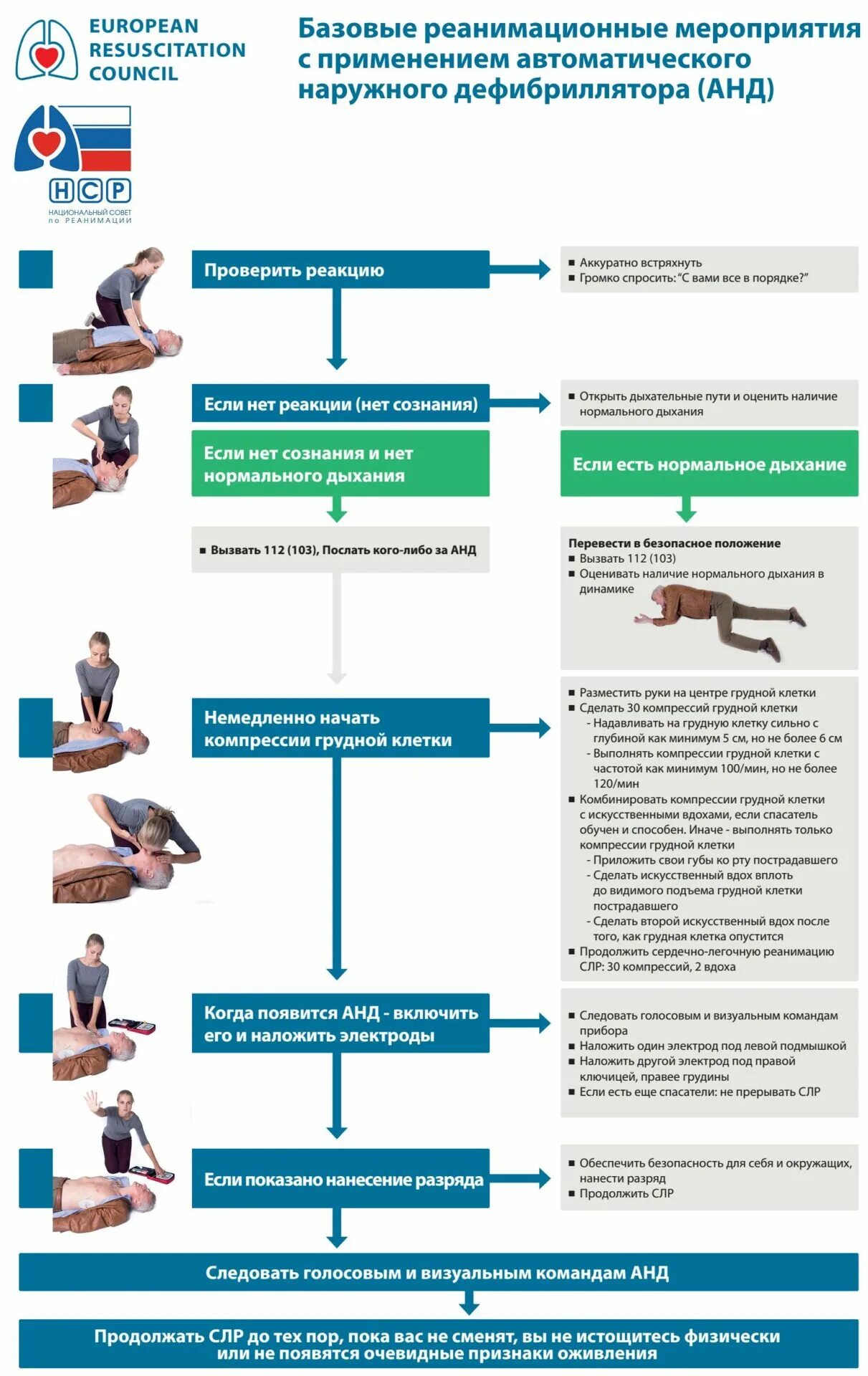 Сердечно-легочная реанимация алгоритм Европейский стандарт. Алгоритм проведения СЛР С дефибриллятором. Национальный совет по реанимации алгоритм базовой СЛР. Алгоритм базовых реанимационных мероприятий.