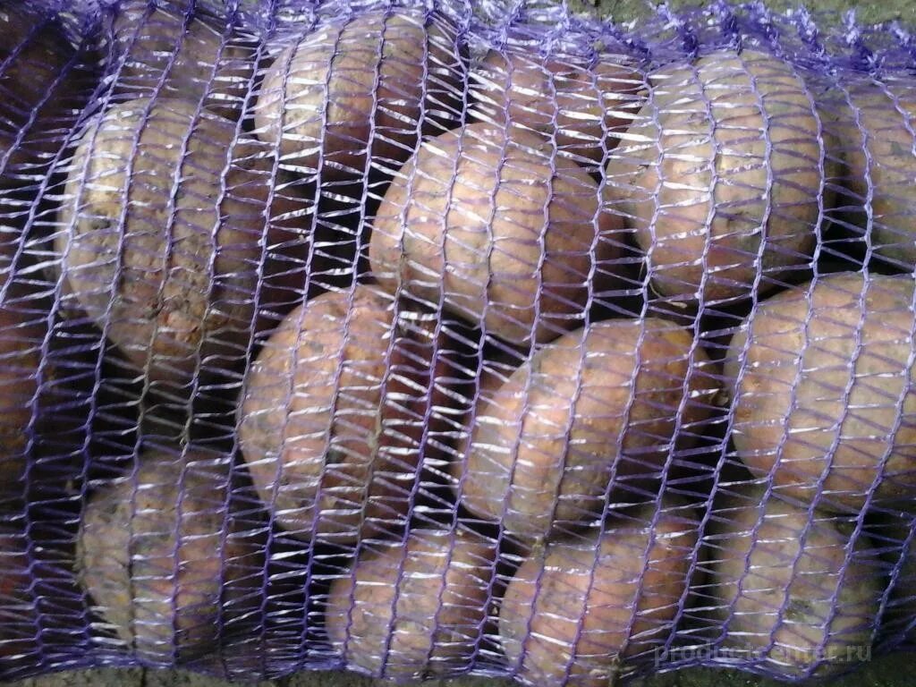 Семенной картофель в новгороде. Картофель фасованный. картофель молодой фасованный. фасованные овощи. картофель желтый в сетке.