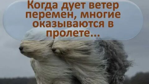 Дует ветер перемен