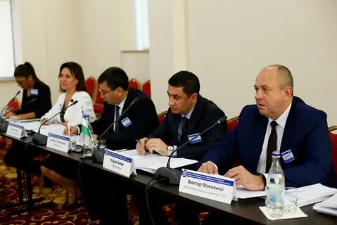 Совместных комиссий
