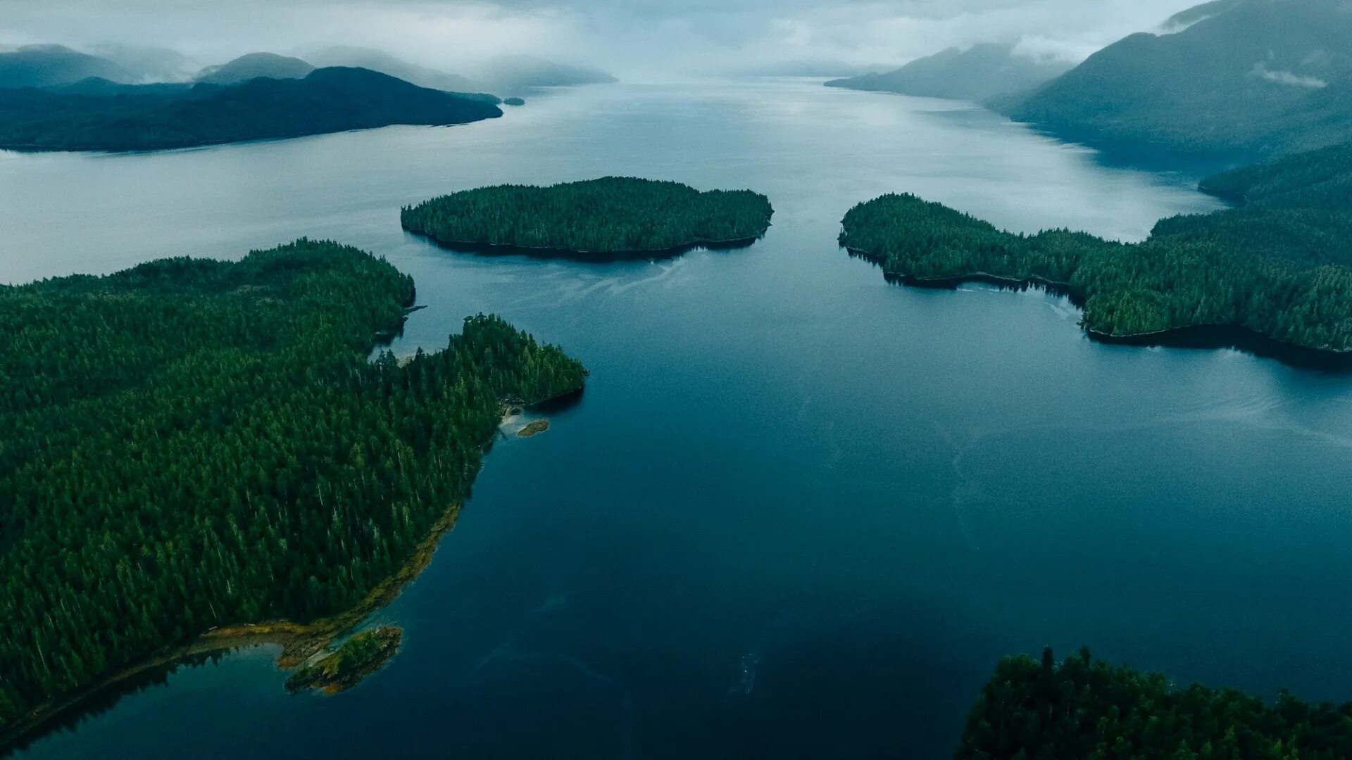 Great Bear Rainforest Канада. Озеро Гурон Канада. Озера Эри и Онтарио. Озеро Эри Северная Америка. Водная система озер