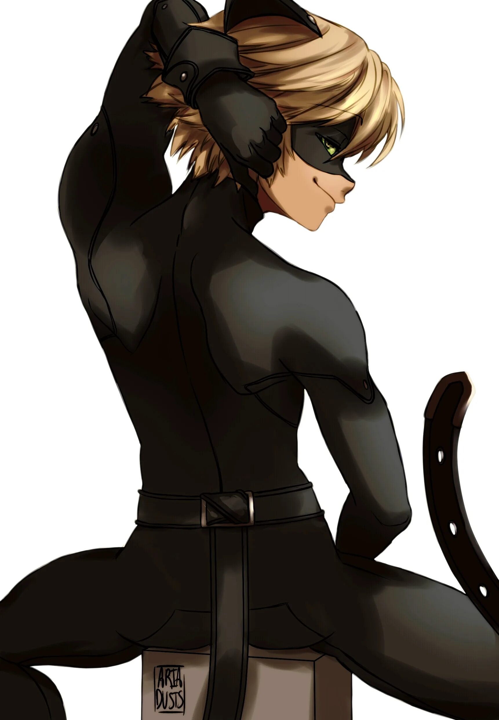 Miraculous ladybug x reader