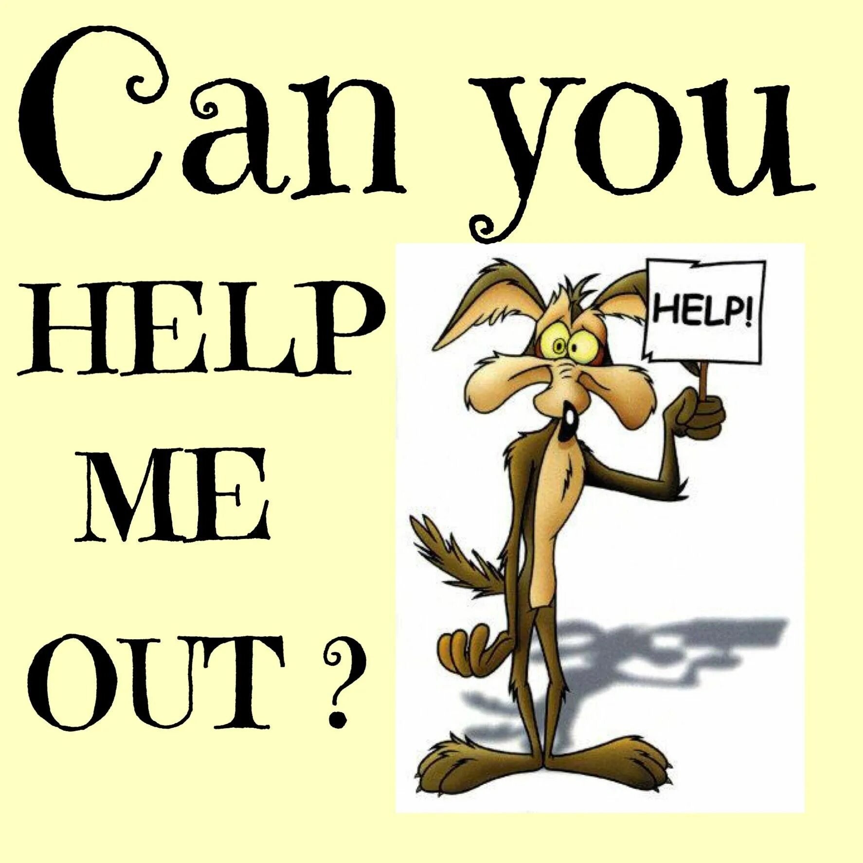 Could you help me out. Can i help you?. you can. can you help me please flashcard. cancould you help me.