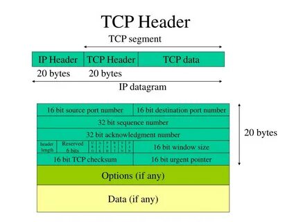 Tcp заголовок размер