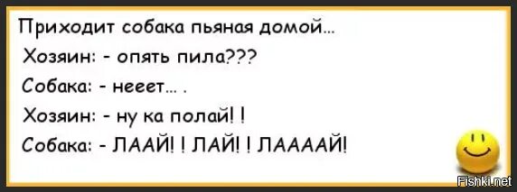 Анекдот лай лай про пьяную собаку. Анекдот про пьяную собаку. Анекдот про собаку лай лай.