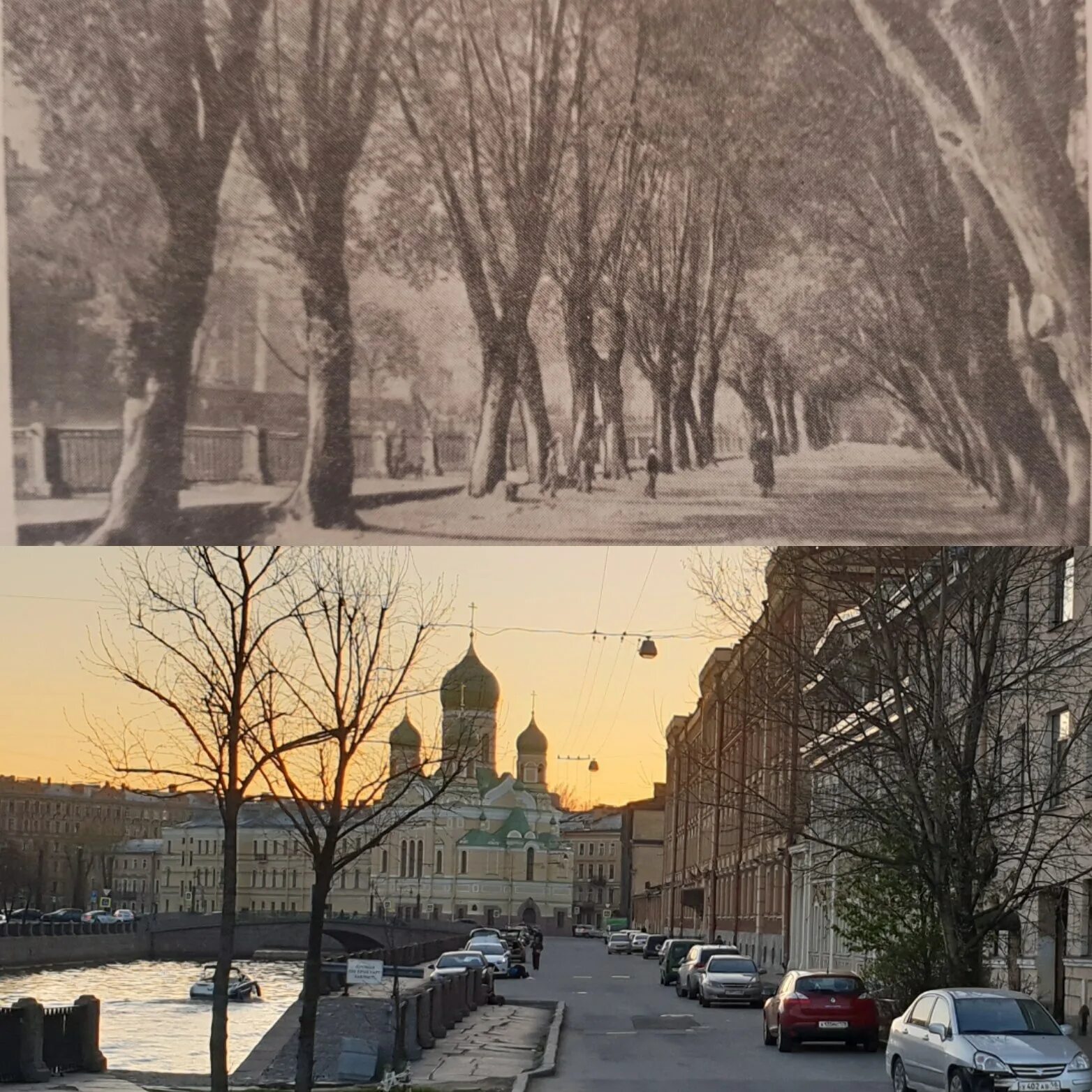 Москва сейчас деревья. Петербург тогда и сейчас. Петербург сейчас и в прошлом. Москва в прошлом и сейчас. Санкт-Петербург тогда и сейчас фото сравнение.