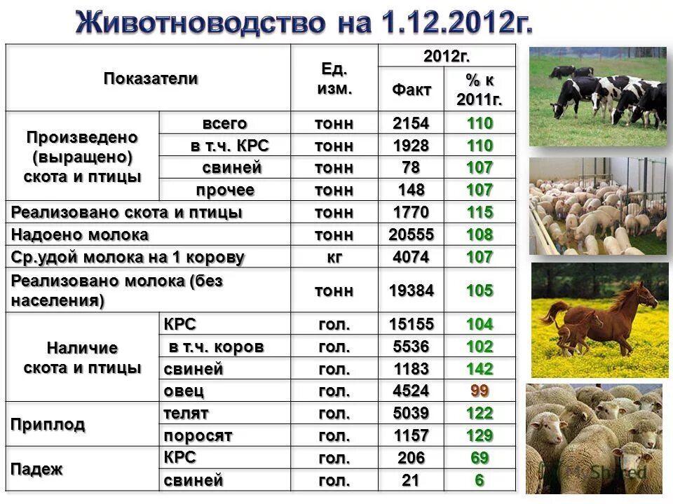 Поголовье крупного рогатого скота. Поголовье крупного рогатого скота в России. Крупнейшее поголовье крупного рогатого скота. Карта поголовья крупного рогатого скота.