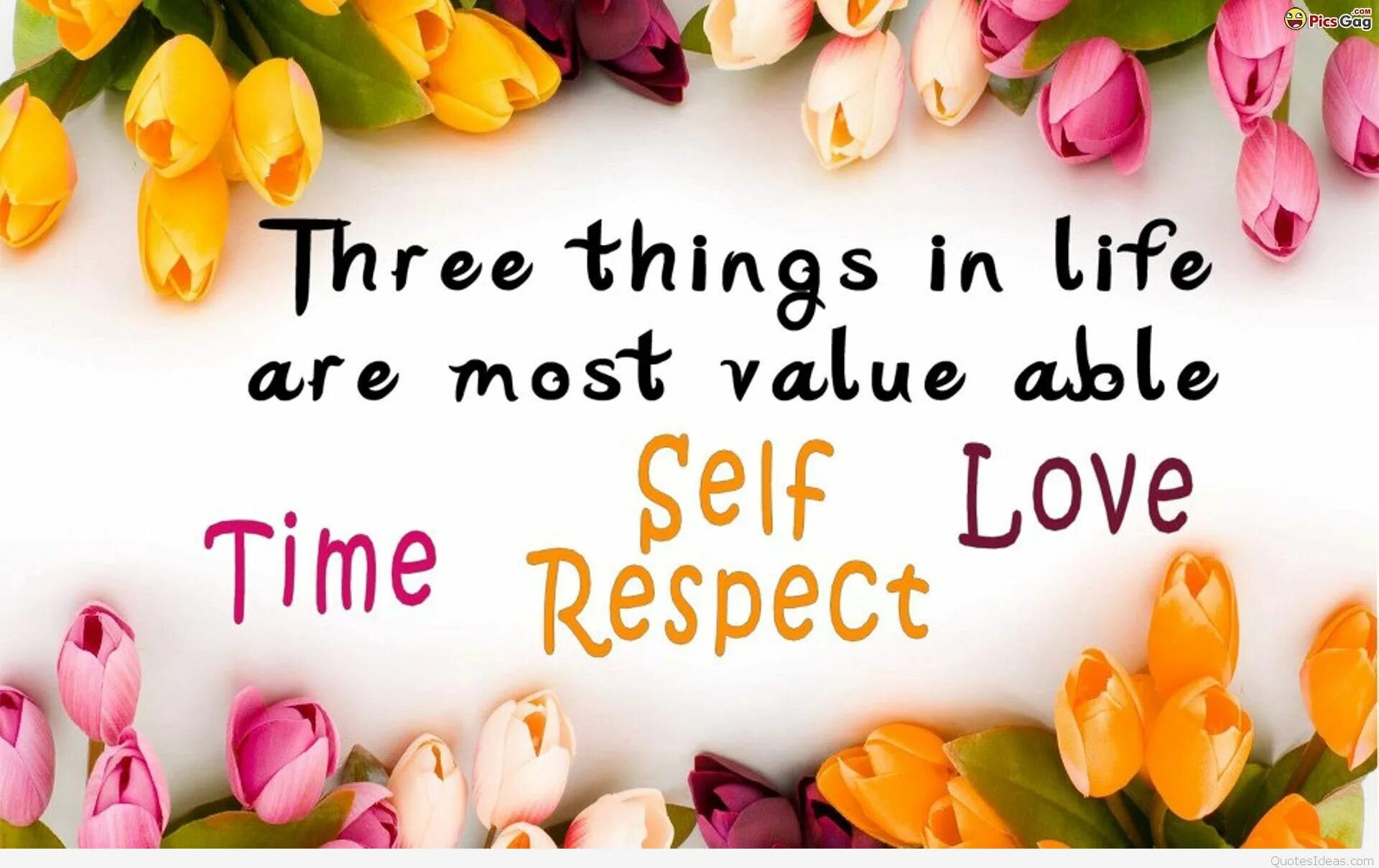 Life is a value. Sayings about life. quotations about life. english sayings about life. quotes about life.