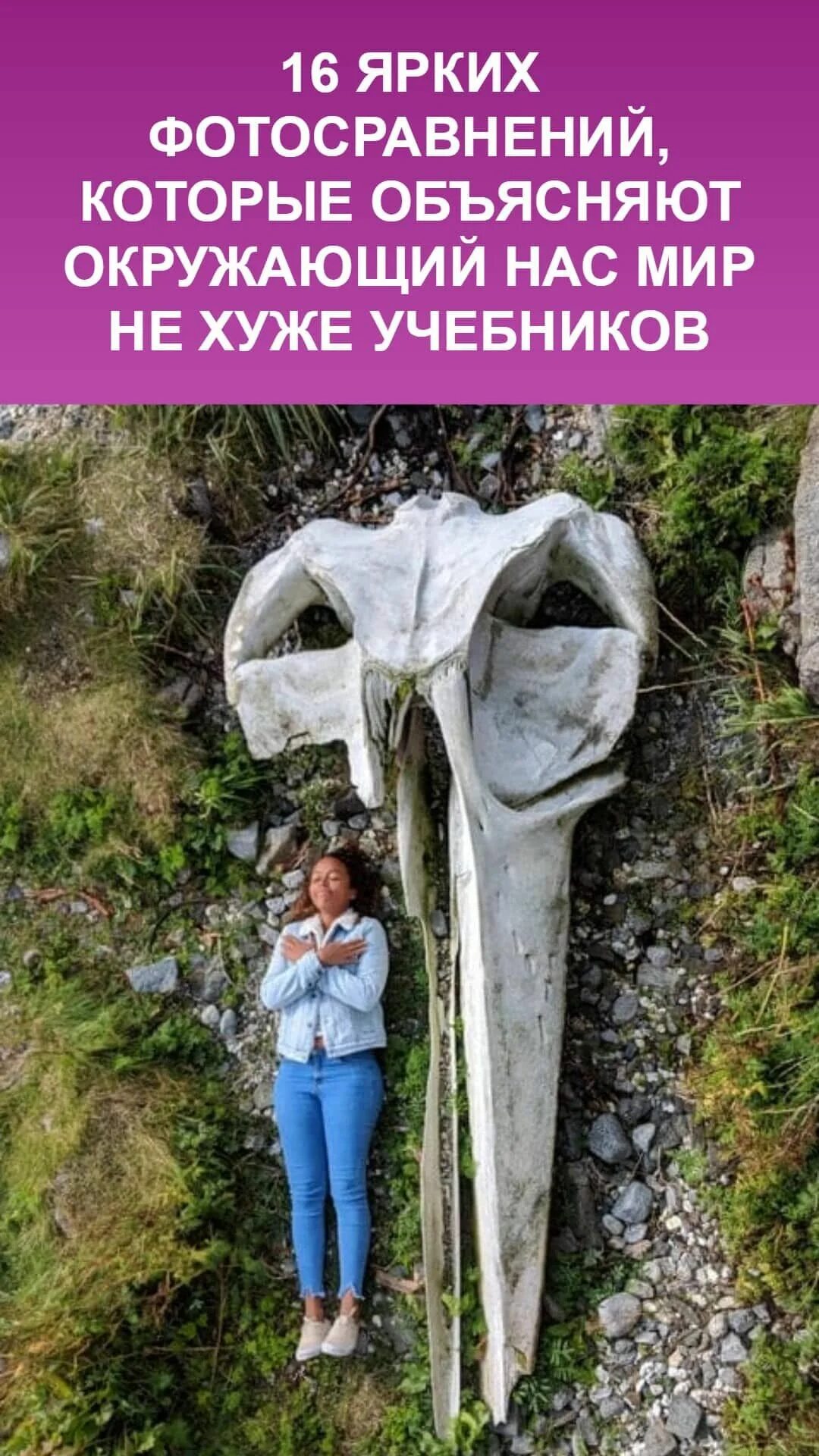 Самые странные вещи на земле. Странные места. Странный предмет похожий на человеческую кожу. Удивительные вещи странные вещи в природе бывают. Необычные штуки.