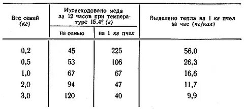 Какая температура пчелы