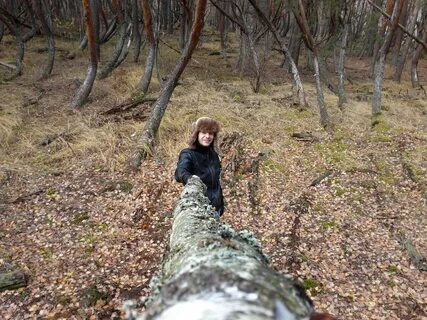 Нашел пьяную в лесу
