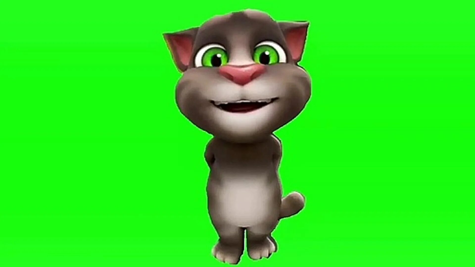 Talking Tom Cat. Talking Tom 2005. Talking Tom Green Screen. Говорящий том фон.