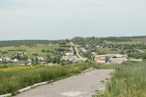 Жесткий сев