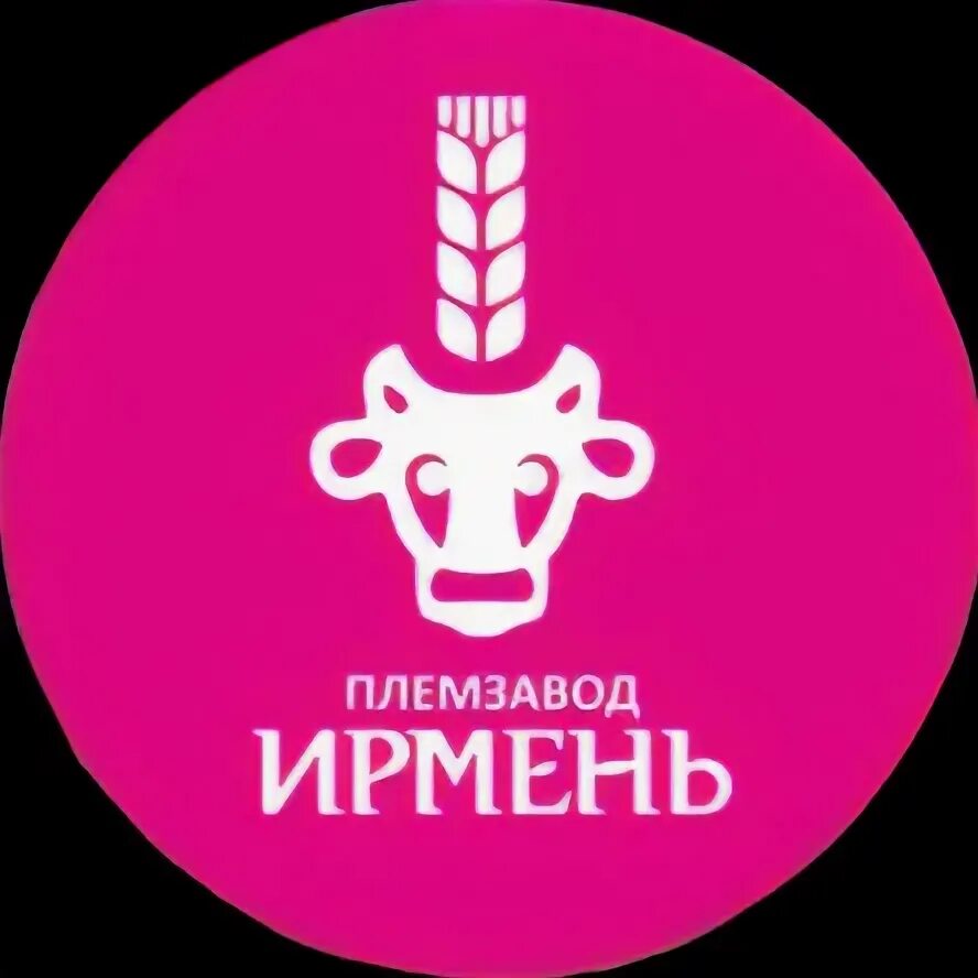 Зао пз ирмень эмблема. Ирмень молоко новосибирск логотип. Верх-ирмень новосибирская область племзавод. Племзавод ирмень новосибирская. Логотип зао ирмень.
