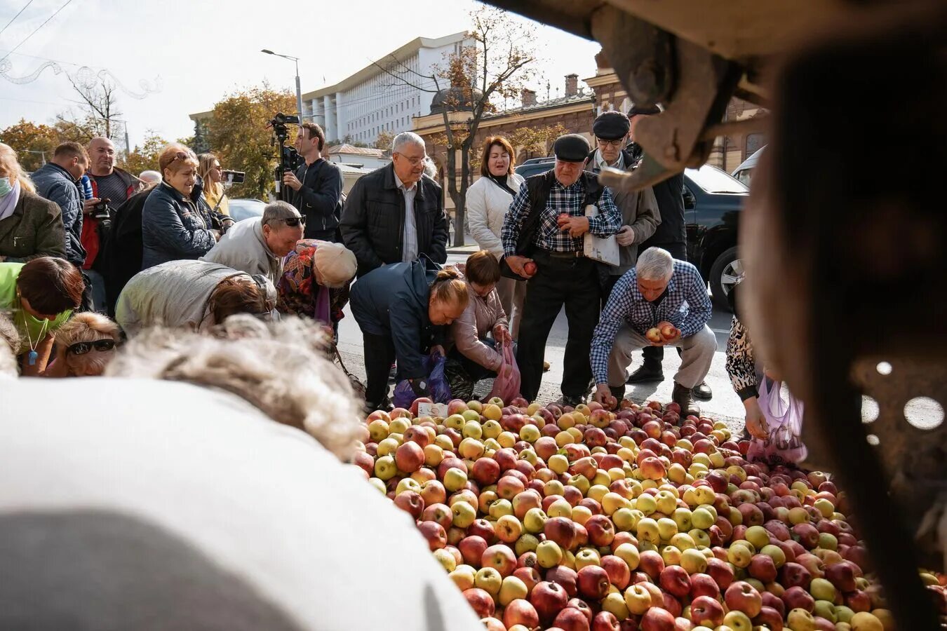 Раздача apple. Раздача яблок. поставки молдавских яблок. яблоки джонатан.