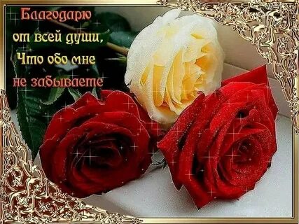 От всей души 2 03 2024