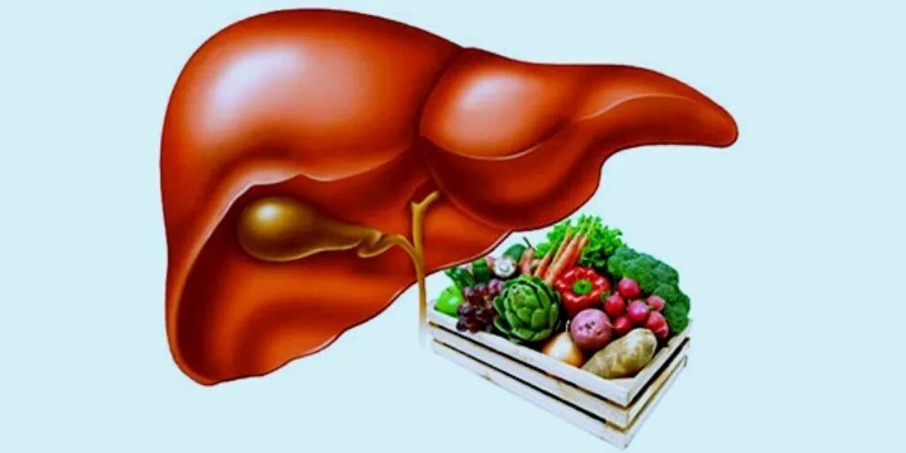 Полезно для печени при гепатите. Полезно для печени при гепатите