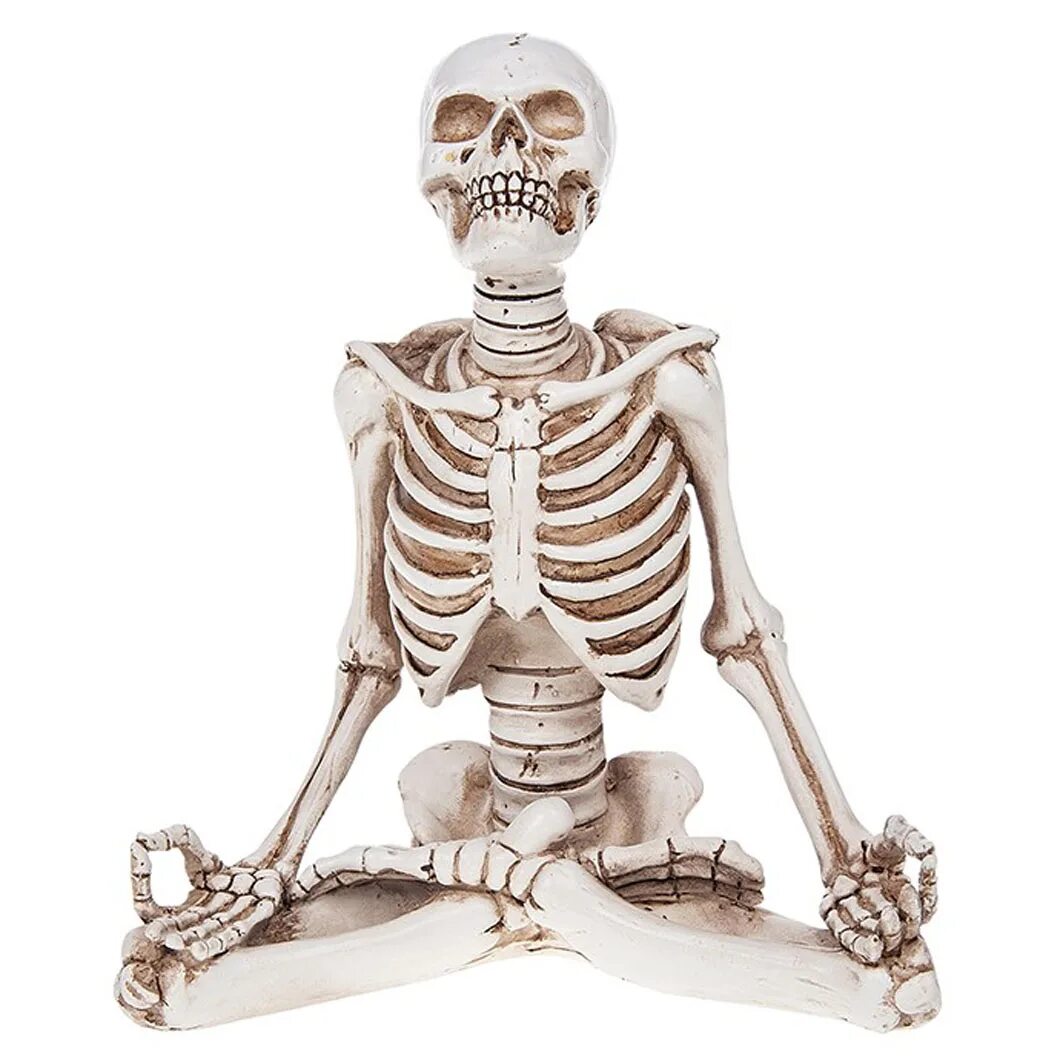 Скелет. Скелет человека. Скелет медитирует. Механический скелет.