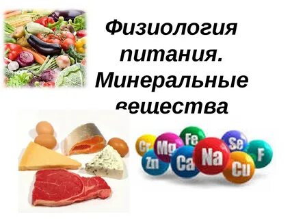 Установите соответствие 1 минеральные вещества