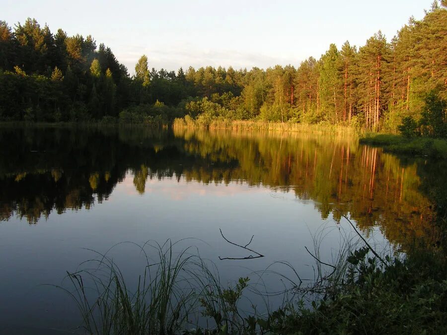 Валдайская равнина. Русские озера. Природа Северо Запада России. Озера русской равнины. 10 русских озер