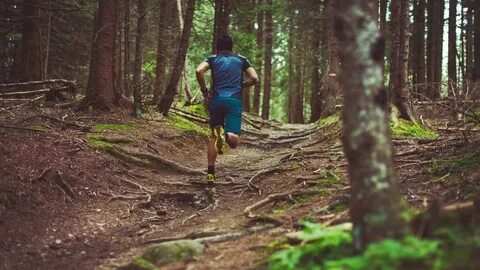 I run in the forest