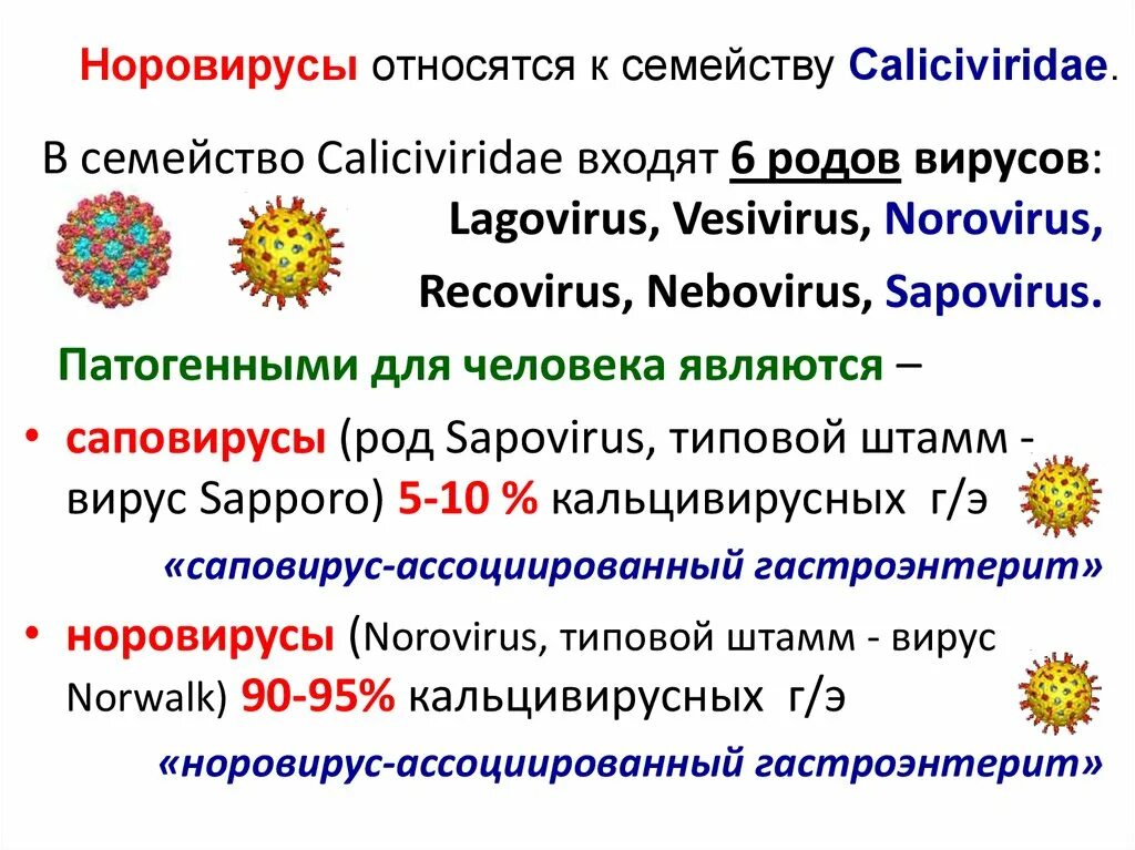 Норовирусы таксономия. Норовирус. Вирусы семейства Caliciviridae. Ротавирусная и норовирусная инфекция. Ротавирус отличить