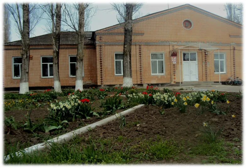 основная школа 11. 11 школа шуя. мбоу гунакаринская оош. школа 21 город новокуйбышевск. основная школа 11.