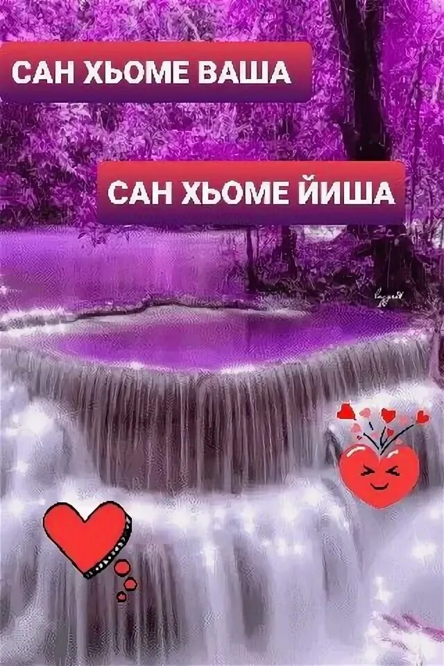 Нена йиша декъал йойла. Нена йиша декъал йойла
