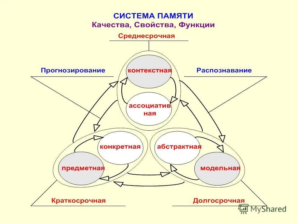 Профессиональные качества память. Качества памяти. качество памяти определяется. качества памяти в психологии. свойства (качества) памяти.