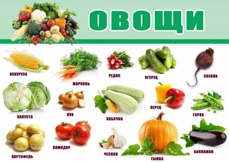 список фруток ви овощей. углеводы в овощах таблица на 100 грамм. овощи по названию. овощи сколько их. овощи фрукты и ягоды название.
