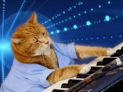 Веселый кот играть