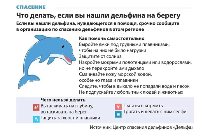 Легенда о чудесном спасении дельфином