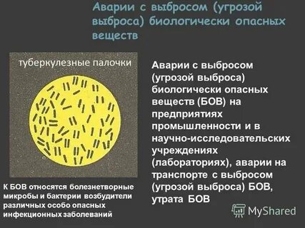 Аварии с выбросом биологически опасных