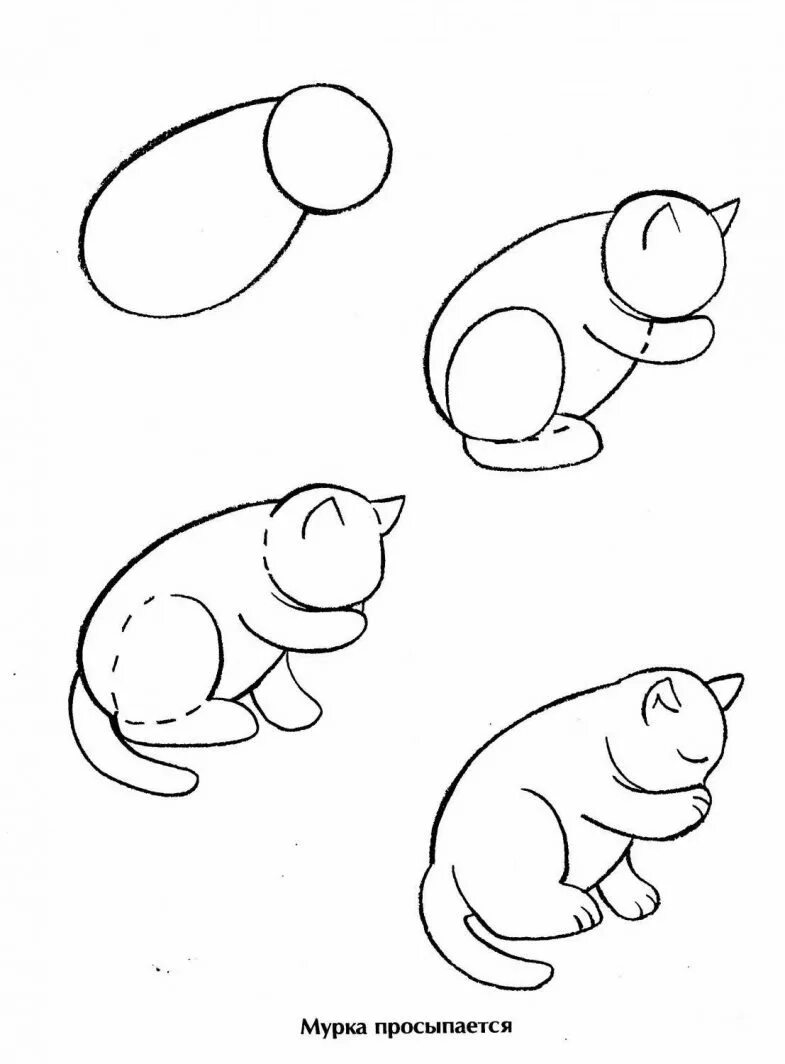 Поэтапное рисование. Лёгкие рисунки животных. Рисунок по этапам для детей. Пошаговое рисование животных карандашом. Как нарисовать любое животное