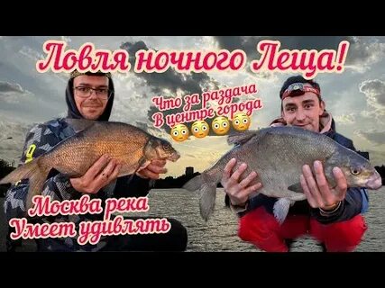 Лещ москва река